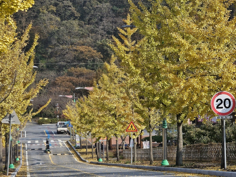 청양 겨울 캠핑 칠갑산 오토캠핑장