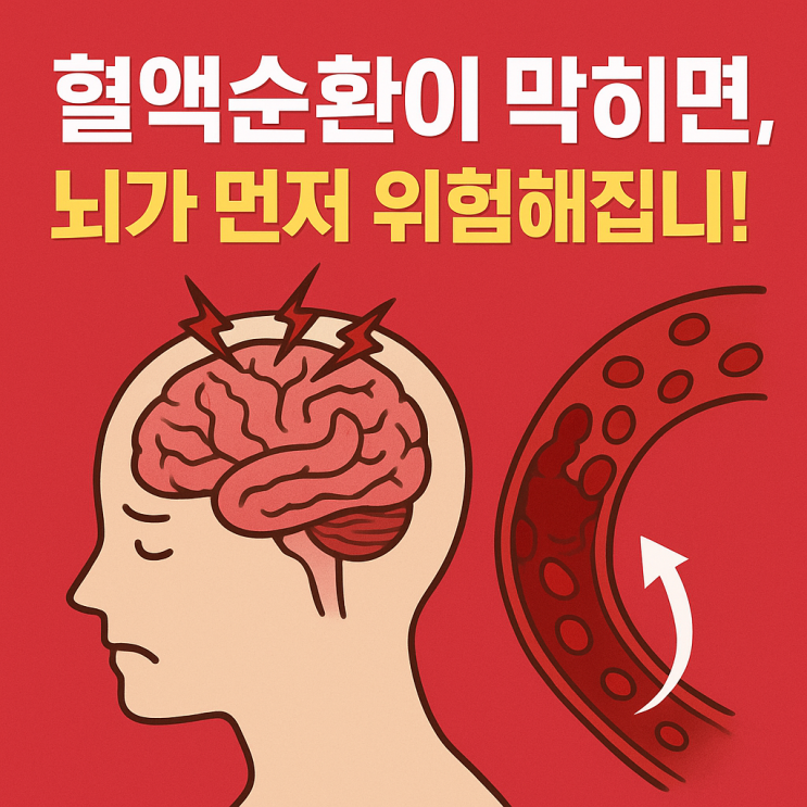   혈액순환이 막히면 생기는 뇌 손상, 알아두세요