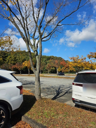 사진 2