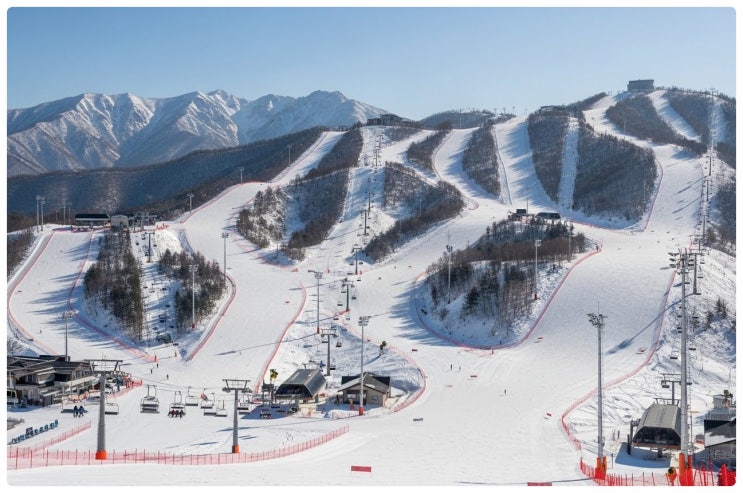  2025 전국 스키장 개장일 총정리 강원 수도권 남부까지 이번 겨울 가장 빠른 2026 오픈 일정 확인