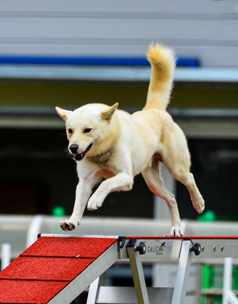 정책지식 2025.11.13. : 네이버 블로그