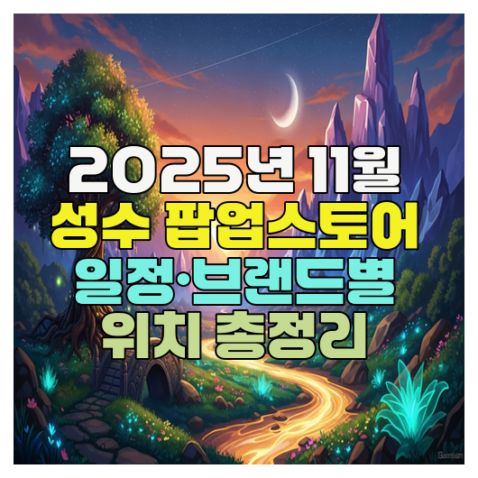  2025년 11월 성수 팝업스토어 일정·브랜드별 위치 총정리