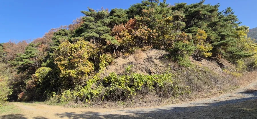 이마산 사진 5