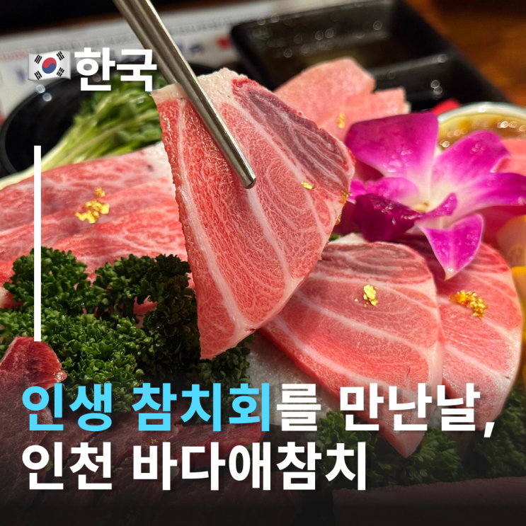  인천맛집 고급참치계의 탑오브탑 바다애참치 계양구맛집 회식장소 추천 작전동맛집