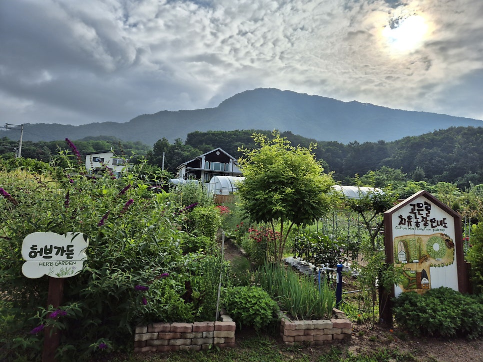 약수골 사진 2