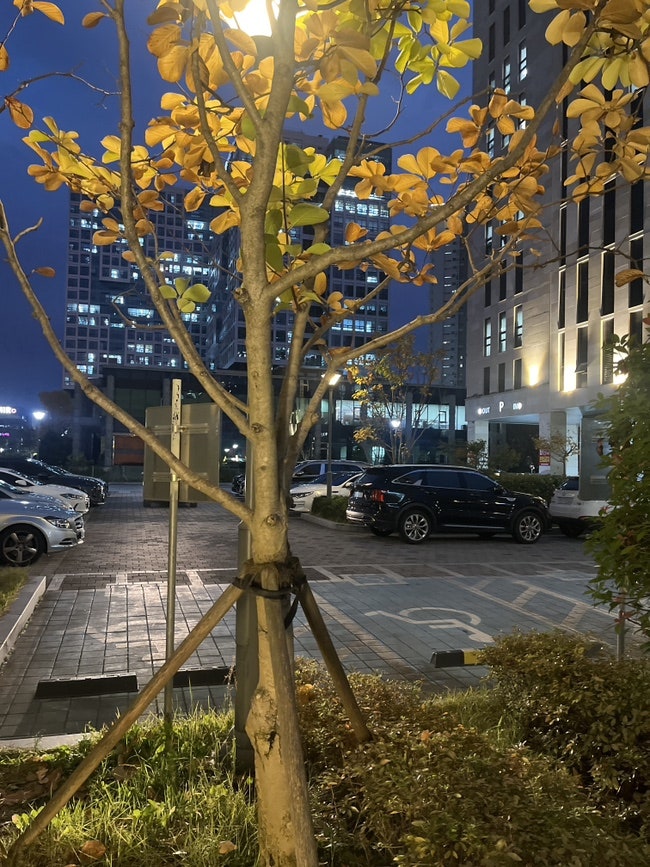 보울레시피 첨단점 사진 2