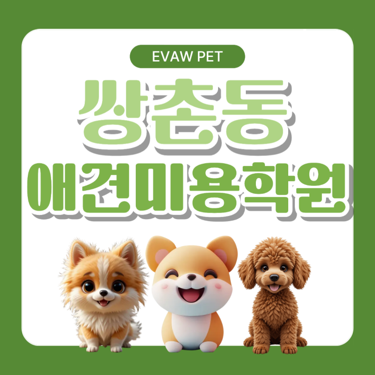  쌍촌동애견미용학원 | 가정견 수업의 중요성과 1:1 맞춤 실무교육의 차이