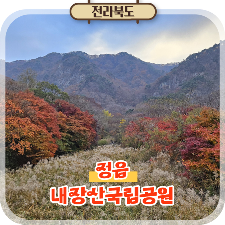  정읍 내장산국립공원 단풍 실시간 현황 내장사 셔틀버스 총정리