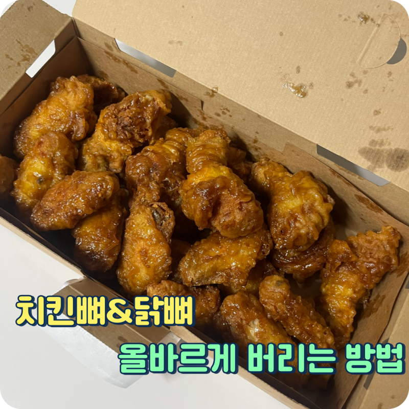 치킨뼈 분리수거 닭뼈는 음식물일까 일반 쓰레기일까