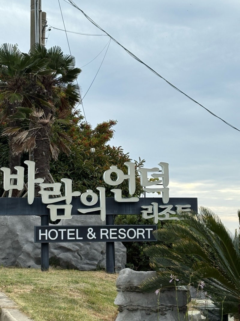 사진 8