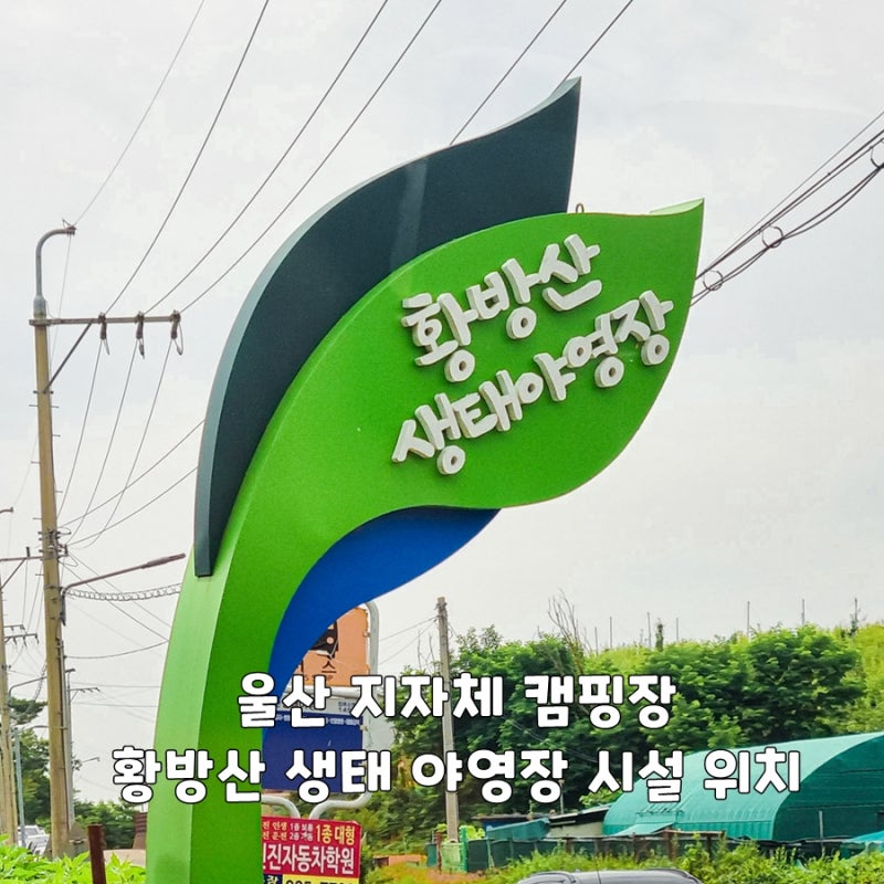 사진 4