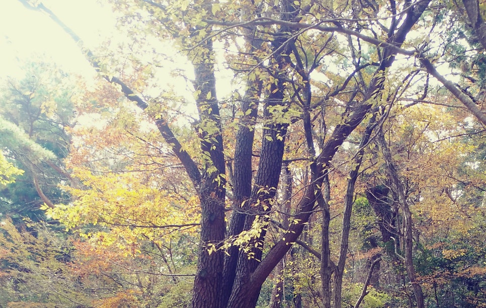 만추 사진 5