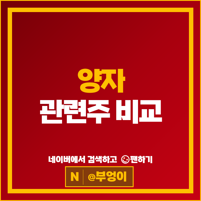 국내 양자 컴퓨터 관련주 드림시큐리티 주가 KT 쏠리드 SK텔레콤 주식