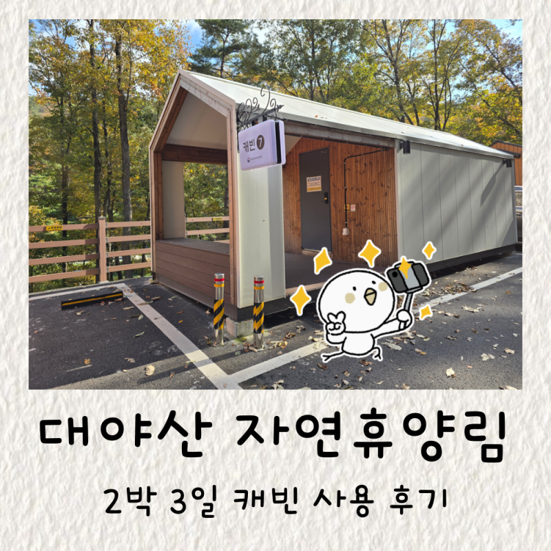 경북 문경 대야산 자연휴양림 2박 3일 캐빈 이용 후기