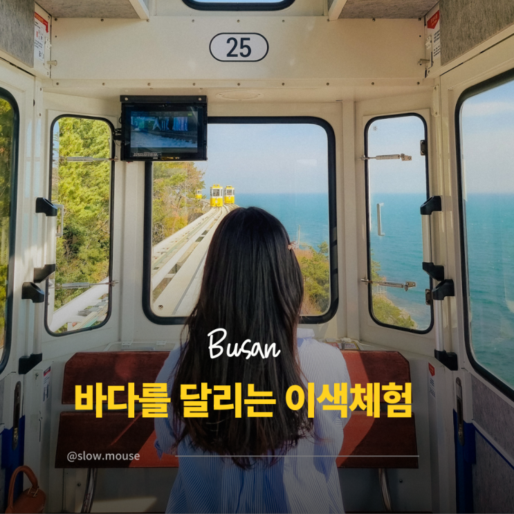  1000만명이 다녀간 국내 이색 열차, 도대체 뭐길래?