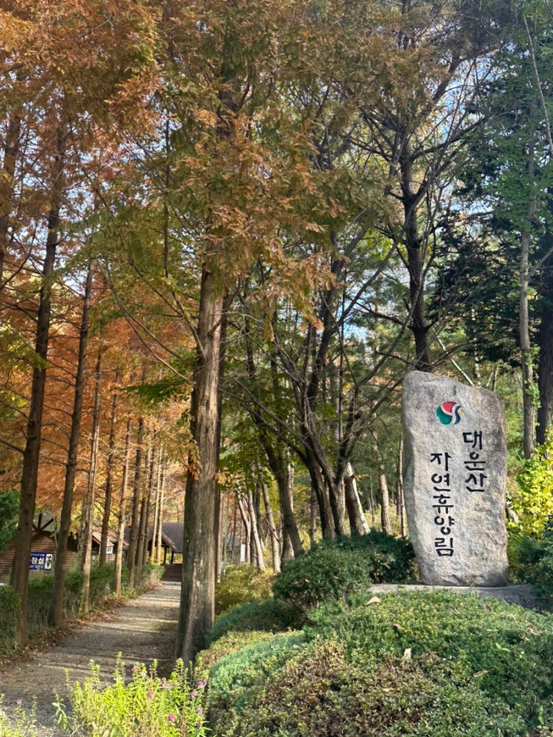 [양산] 지금 가을단풍과 함께하기 딱 좋은 곳, 대운산 자연휴양림 둘러보기