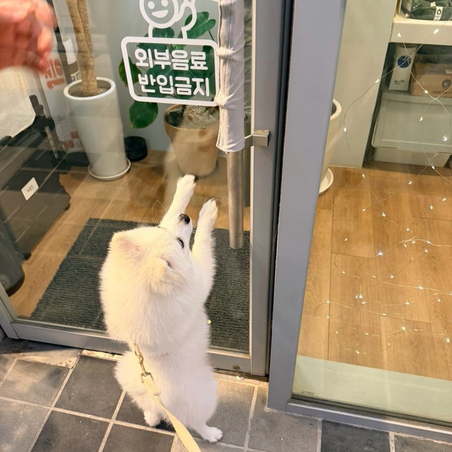 수키친 사진 3