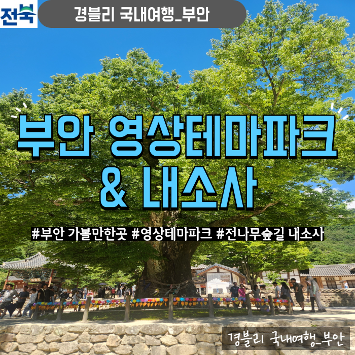  부안 가볼만한곳 부안여행 변산반도관광지 전나무숲길 '영상테마파크 내소사'