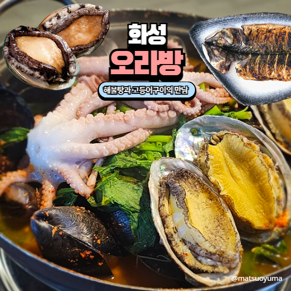 향남해물맛집 오라방 해물탕과 고등어구이 신선했던 리뷰!