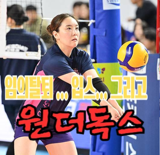 임의탈퇴... 트레이드...입스...결혼...원더독스...흥국생명 세터 이나연 배구 스토리
