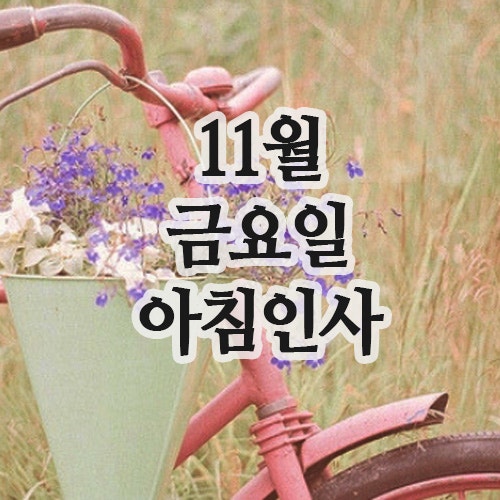  11월 인사말, 14일 금요일 아침인사 문자
