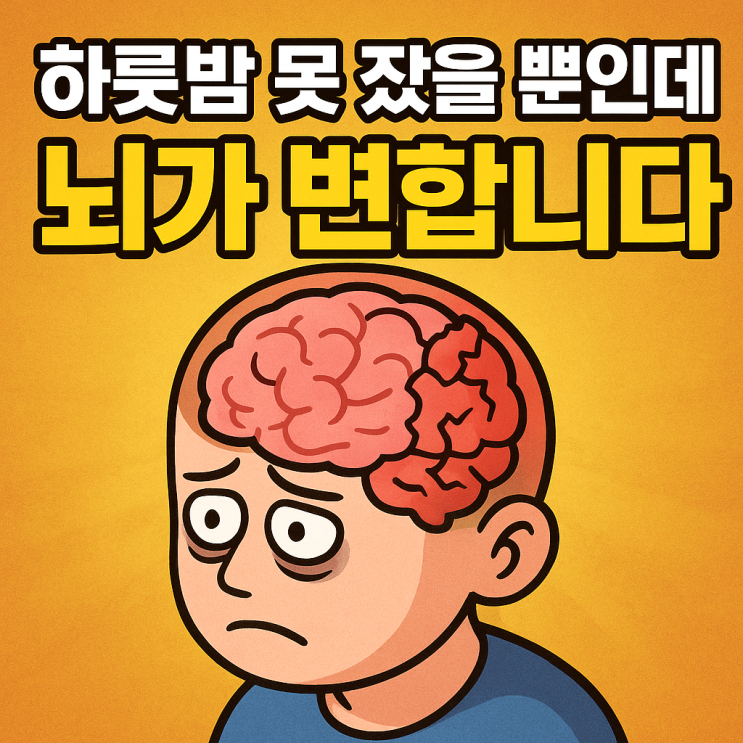  잠이 부족하면 뇌가 이렇게 변합니다! 과학이 밝힌 수면 부족의 진실 
