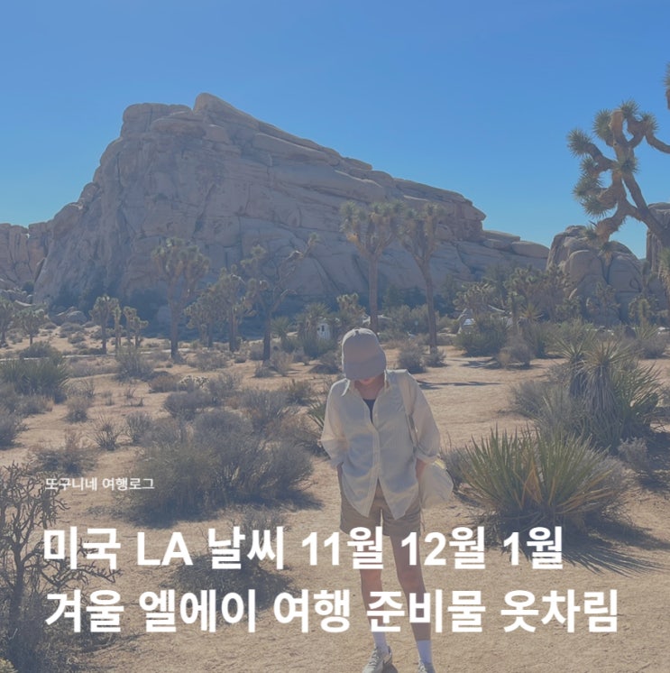  미국 LA 날씨 11월 12월 1월 겨울 엘에이 여행 준비물 옷차림