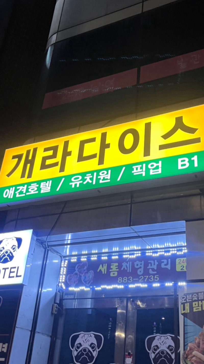 사진 4