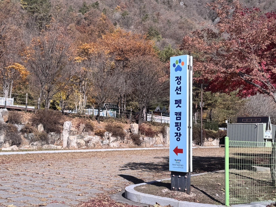 정선펫캠핑장 사진 5