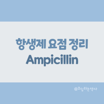  [항생제 요점 정리] Ampicillin (암피실린)