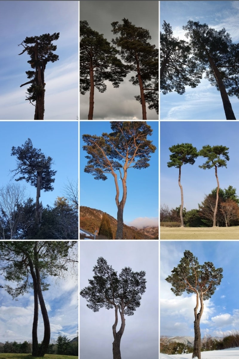 정책지식 2025.11.13. : 네이버 블로그