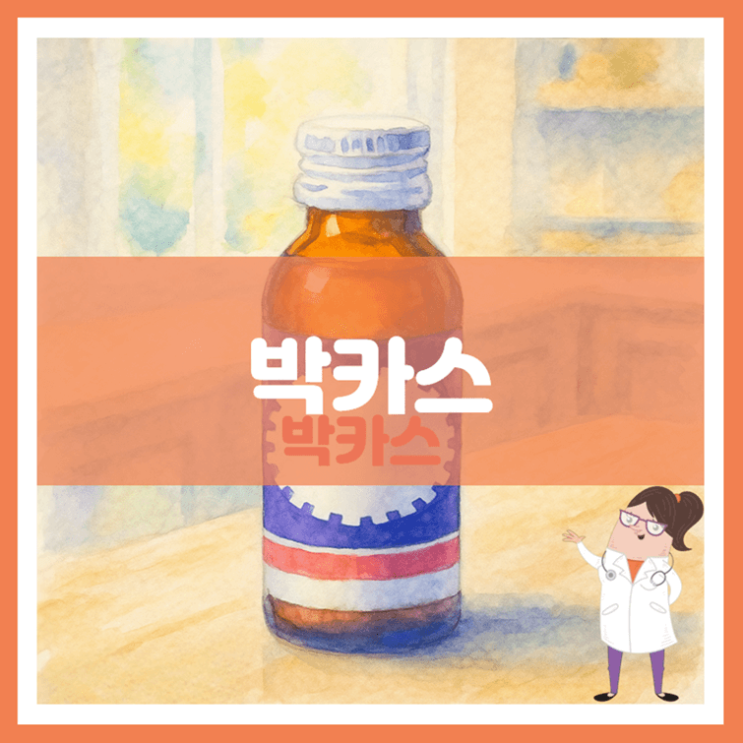  박카스 효능 섭취방법 부작용