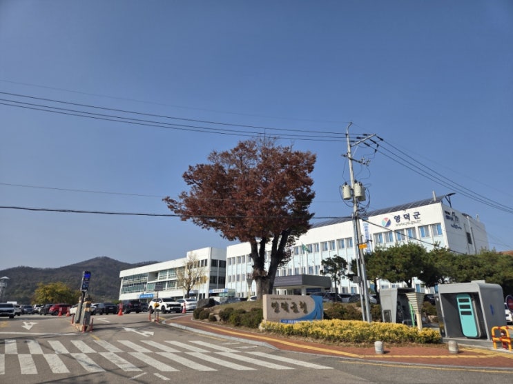  영덕 출장
