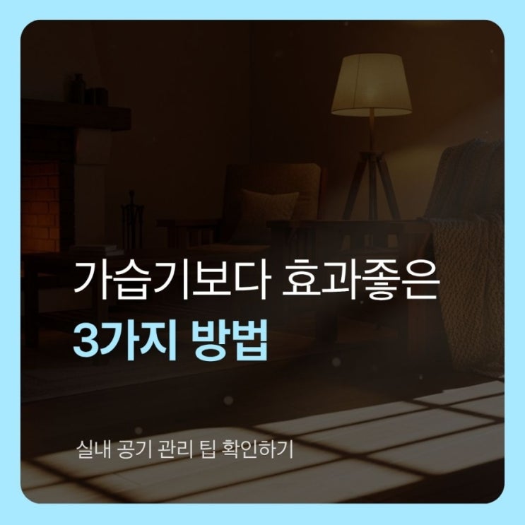  집이 너무 건조하다면? 가습기 말고 ‘이거’ 먼저 해보세요