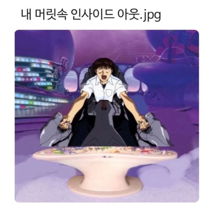 신축 오피스텔 세스코 방문 후기 (먼지다듬이, 좀벌레, 책벌레)