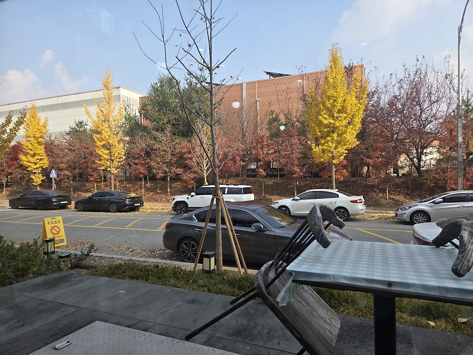참다루 사진 5