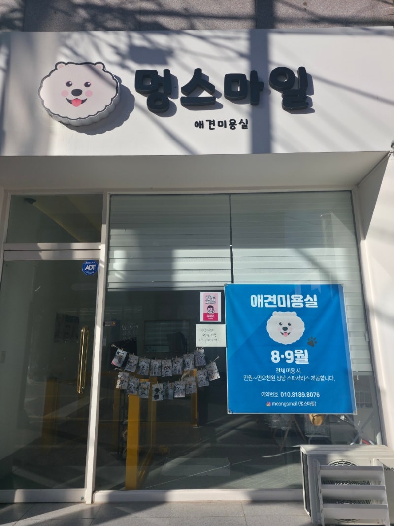 사진 6