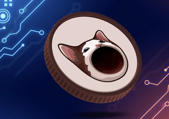  하이퍼리퀴드, 팝캣(POPCAT) 코인 청산 사태 속 입출금 중단