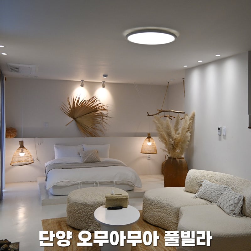 사진 3