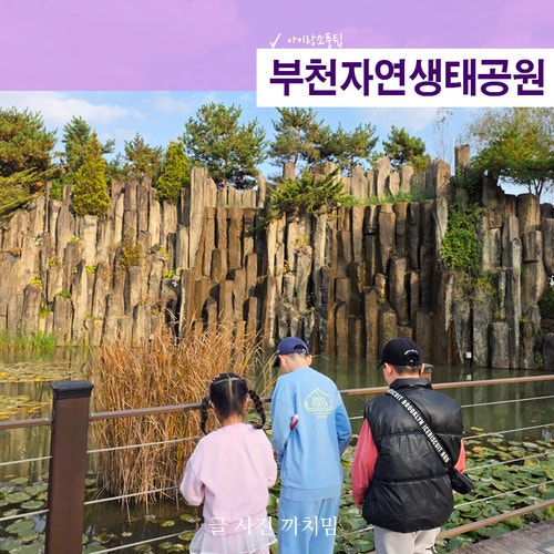 사진 8