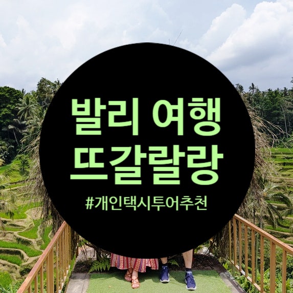  발리 여행 : 뜨갈랄랑 계단식 논 후기(내돈내산 개인 택시 투어 추천)