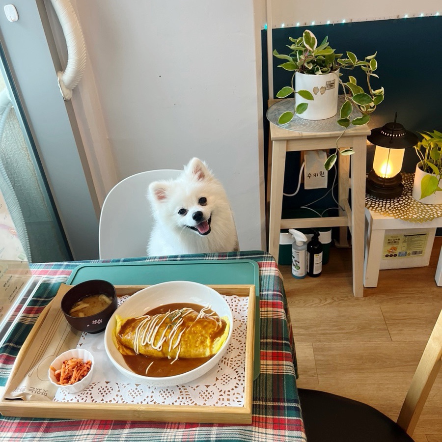 수키친 사진 2