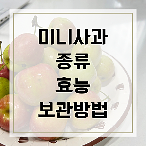 미니사과 종류 및 효능, 보관방법!