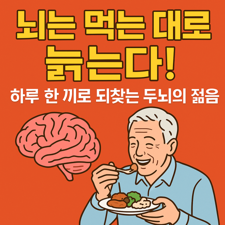  ️ 하루 한 끼로 뇌 나이를 되돌린다? 뇌를 젊게 만드는 식단의 비밀