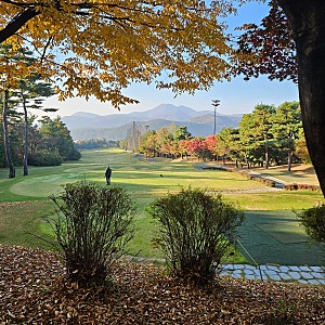 골프존 카운티 안성 wcc  골프존카운티안성w라운딩후기