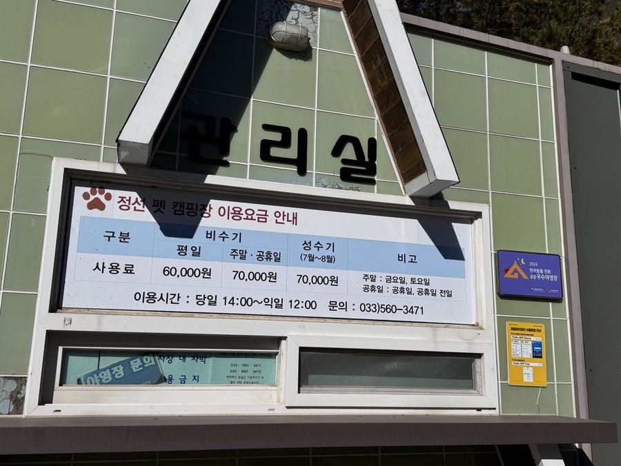 정선펫캠핑장 사진 6
