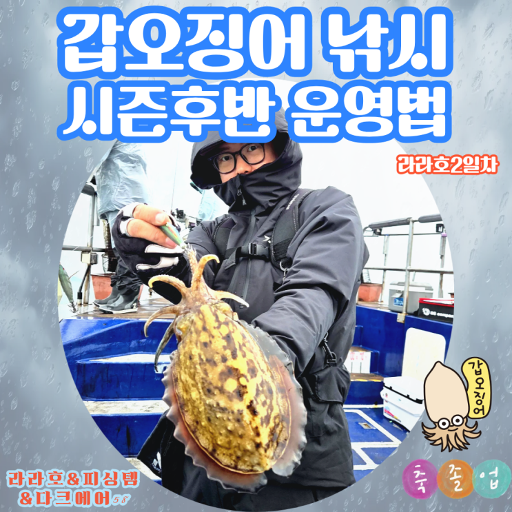  오천항 라라호 갑오징어 낚시 후반 시즌 가짓줄 운영법
