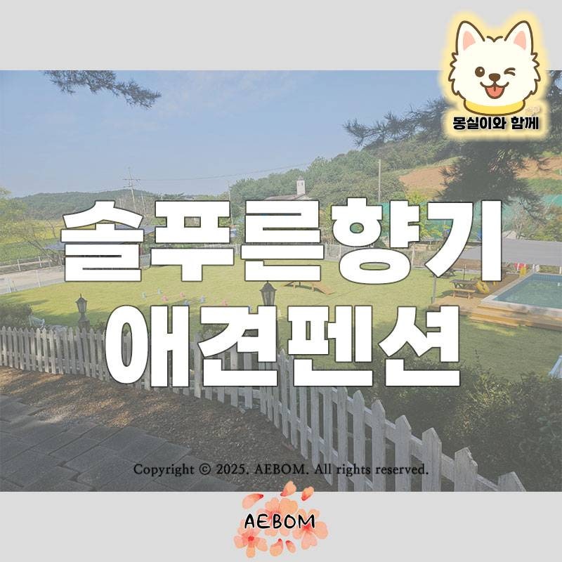 사진 3