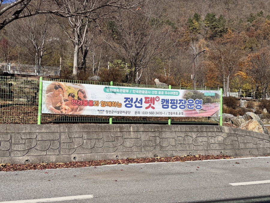 정선펫캠핑장 사진 4