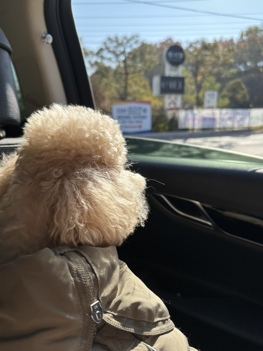 산밑에집 사진 3